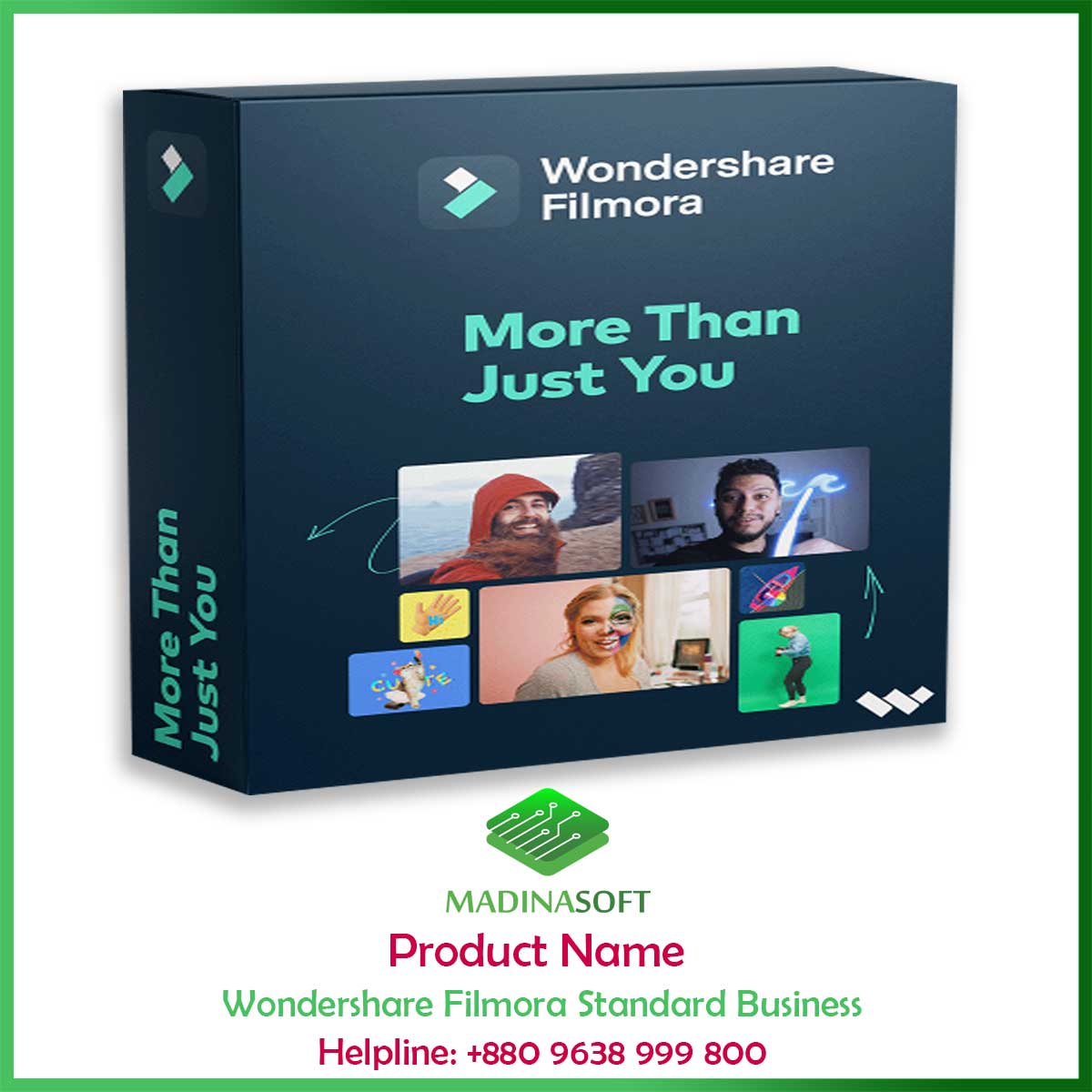 Wondershare Filmora Standard Business